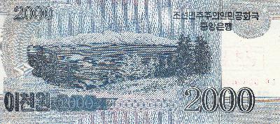 Beschrijving achterzijde: FOREST